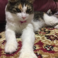くるるん