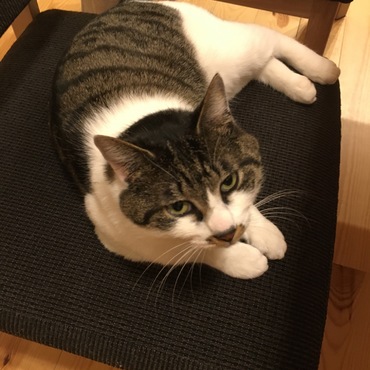 最近のお気に入りスポット❤️