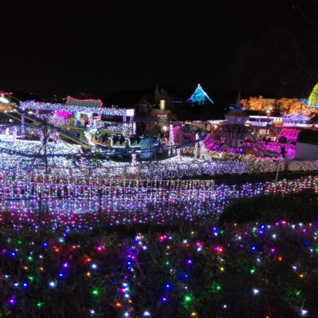 ロビンちょんのカバー写真