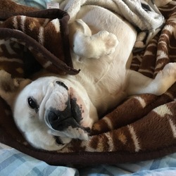 「春のさんぽ」サムネイル3