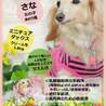 個人ボランティアIRODORI(保護活動者)
