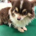 幸せ掴みたい…