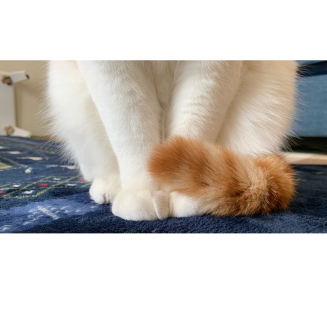 なおずのカバー写真