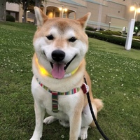 リキ