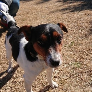 めちゃくちゃ賢いけど、欲求も半端ないジャック。