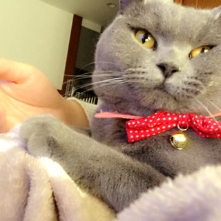 たくさん可愛がってくれる方！