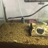 里親さんが決まりました(^-^) サムネイル3