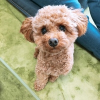小梅
