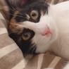 なあに？
