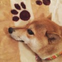 素敵な新しい家族が決まりました^_^