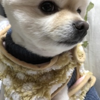 こまめ