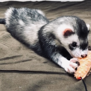 たくさんのご応募ありがとうございます。