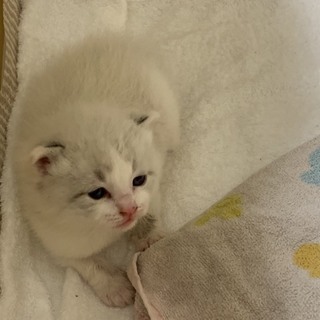 ありがとうございました。