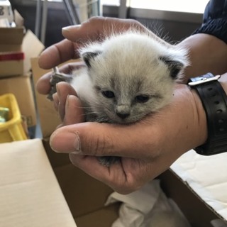 ありがとうございました。