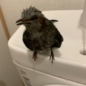 只今募集ストップ中です(^ ^)