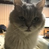 の写真