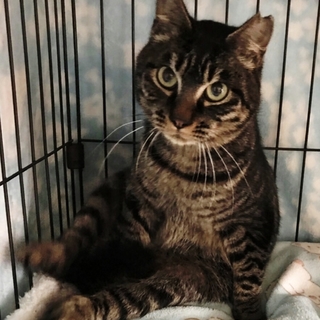 ★ ふみふみが止まらない甘えん坊！！