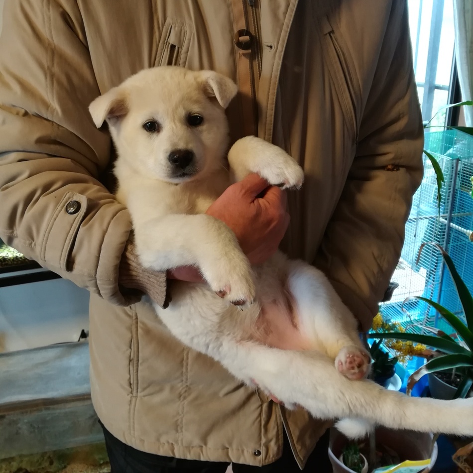 鈴木園子のカバー写真
