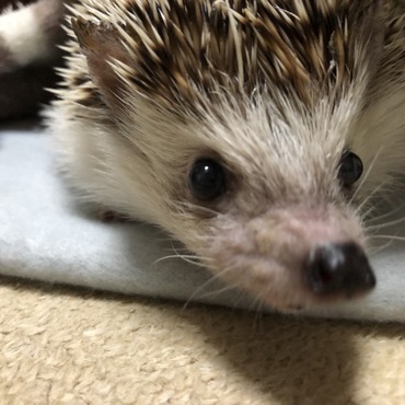 おじいちゃん☺️