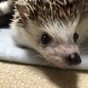 おじいちゃん☺️