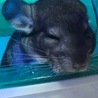 の写真