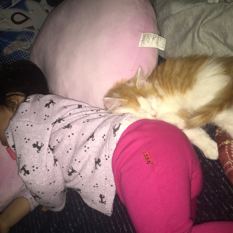 ラヴィルのカバー写真