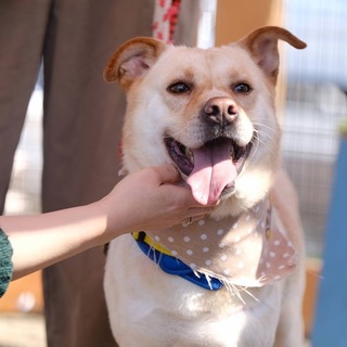 家族にしてください。