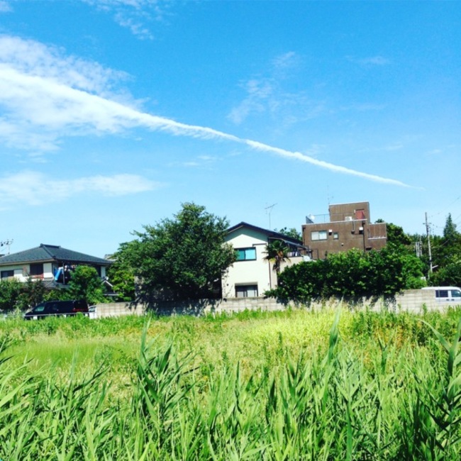 柴又のたまやんのカバー写真