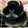 みゆみゆ3