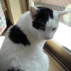 「日向ぼっこ♪」サムネイル2