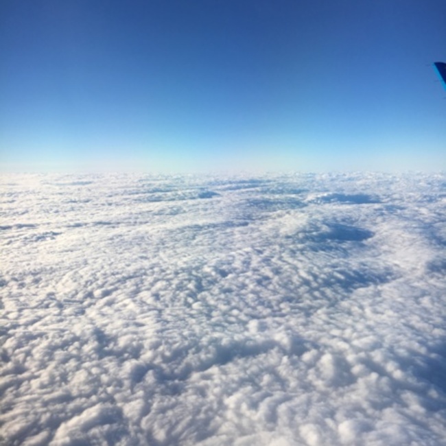 bupa620のカバー写真
