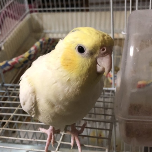 Yukiko5963のカバー写真