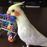 の写真