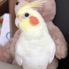の写真