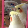 私、今日もカワイイ♡