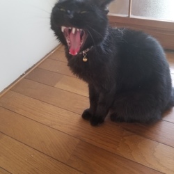 3歳になりました