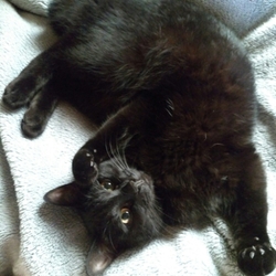 「3歳になりました」サムネイル2