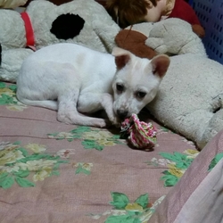 ３ヶ月目v(・∀・*)