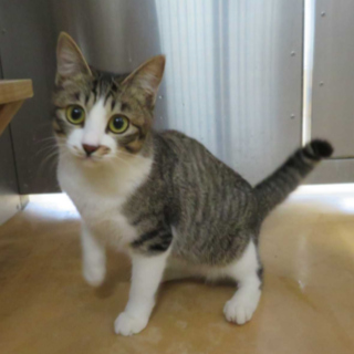 甘えん坊のカワイイお転婆さん