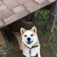 りき