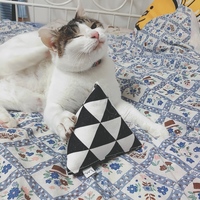 ひとみ