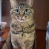 の写真