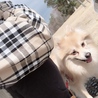 ryのたつや