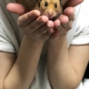 おまるくん