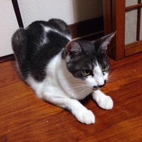 ムーア