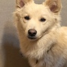 の写真