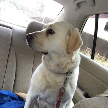 車でお出かけ大好き