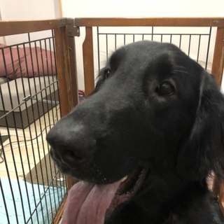 元気いっぱいぽんず君！