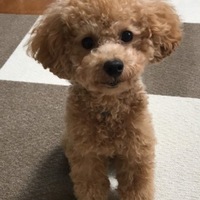ナッツ