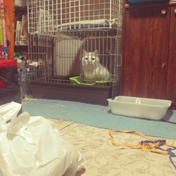 天候や気温に影響されやすい時期ですね。(￣▽￣;)